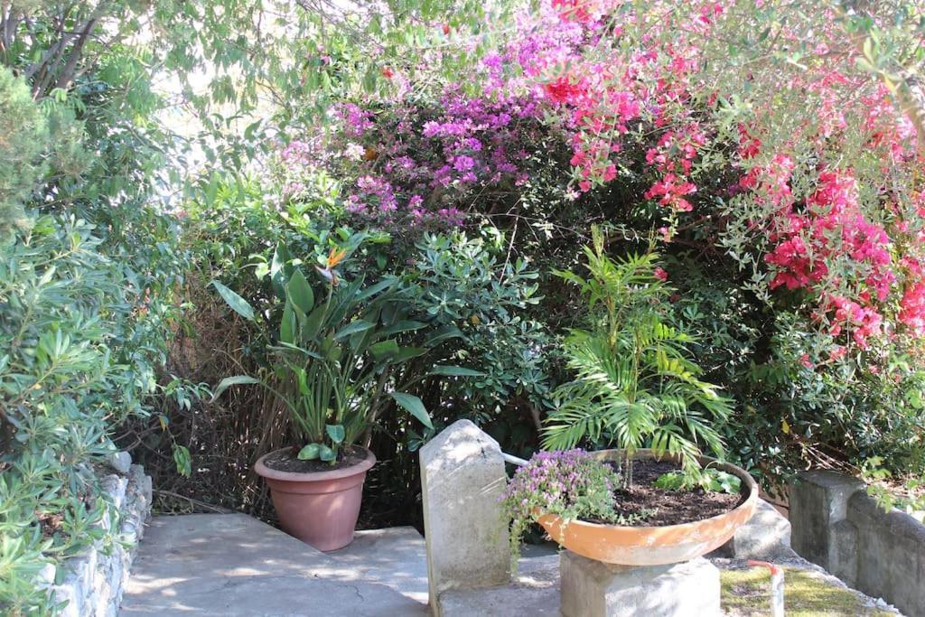 Casa Letizia Apartment Taormina Luaran gambar